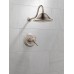 Delta Cassidy 17T Series Dual-Function Shower Trim Kit with Single-Spray Touch Clean Shower Head  Stainless T17T297-SS (Valve Not Included) - B008JVLLI2